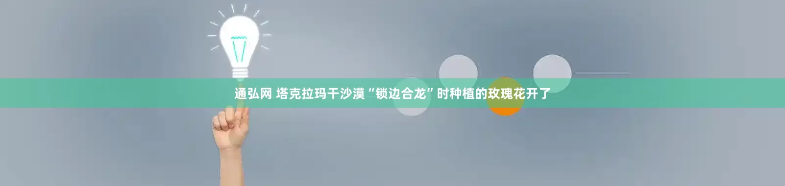通弘网 塔克拉玛干沙漠“锁边合龙”时种植的玫瑰花开了
