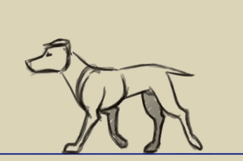 华锋优配快线 失去一条腿的大象都可以存活下来，为什么马的腿断了就必须死呢？